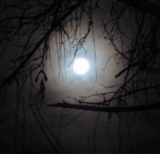 6. A ring around the moon