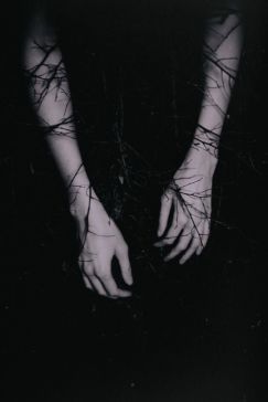 5cdde93def62060184d3a2e945ed0d2a