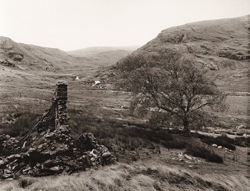 7784_1682502584e7f402d2e6e5